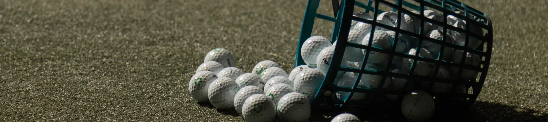 KGK_rangebollar i korg